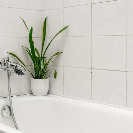 Apartment Cozy Warm In Center