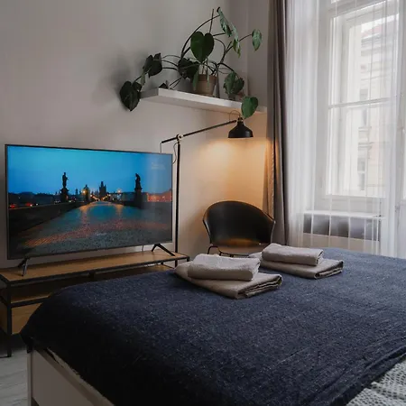 Apartment Cozy Warm In Center *
